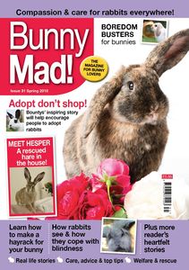 rabbit-resource-subscriptions-wabbitwiki