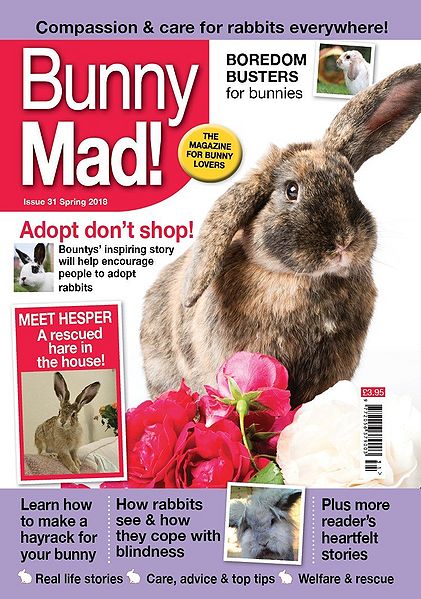File:BunnyMadIssue31.jpg