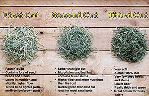 hay cuts cut comparison source
