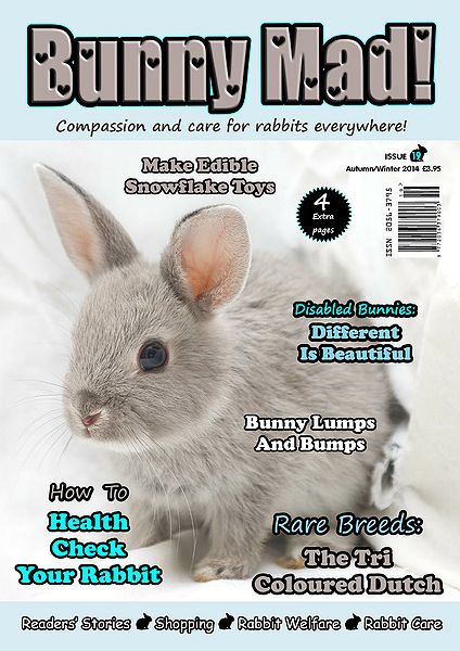File:BunnyMadIssue19.jpg