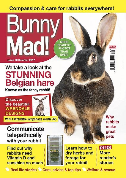 File:BunnyMadIssue28.jpg