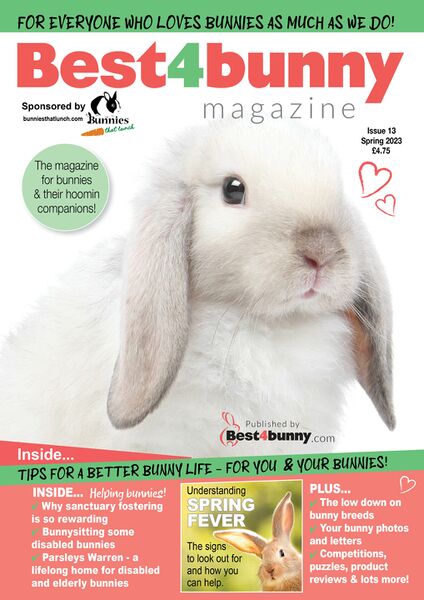 File:Best4BunnyIssue13.jpg