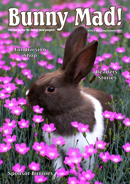 File:BunnyMadIssue10.jpg
