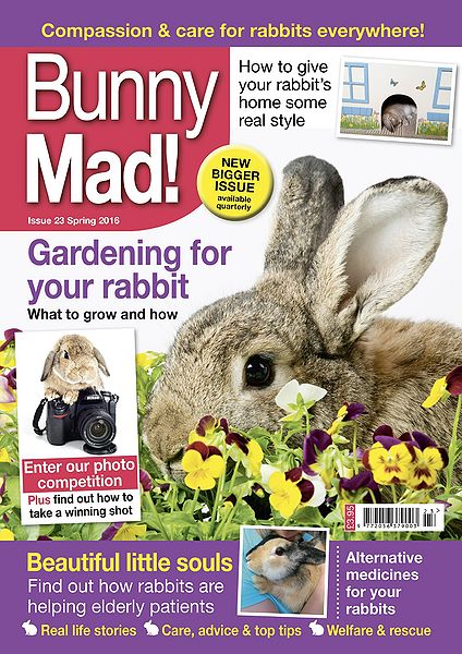 File:BunnyMadIssue23.jpg