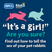 RSPCA-Sexing0.png