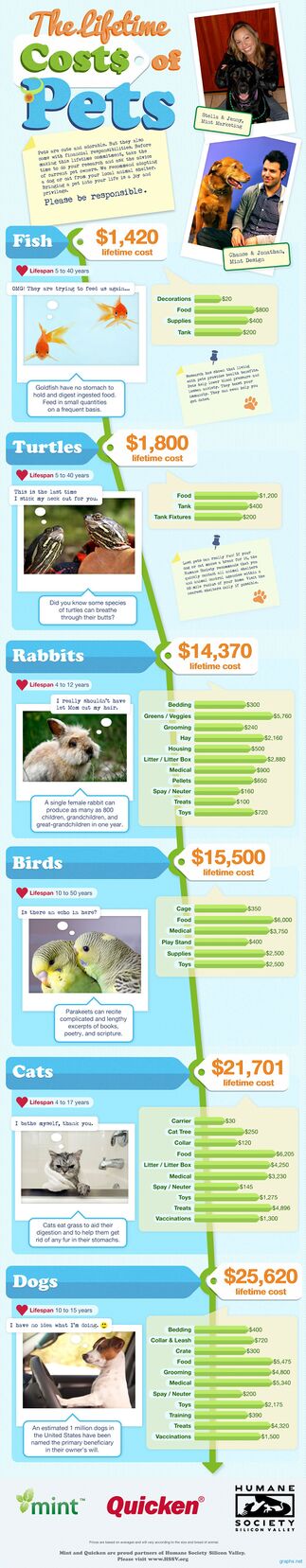 Costs of rabbit ownership - WabbitWiki