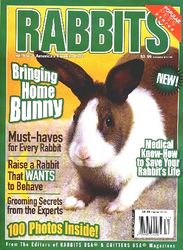 RabbitsMagazineOneOff.jpg