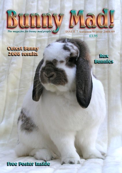 File:BunnyMadIssue07.jpg