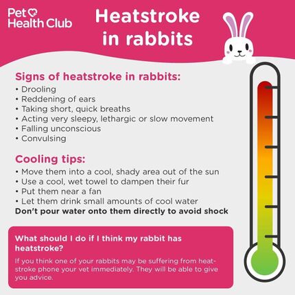 Hot weather concerns - WabbitWiki