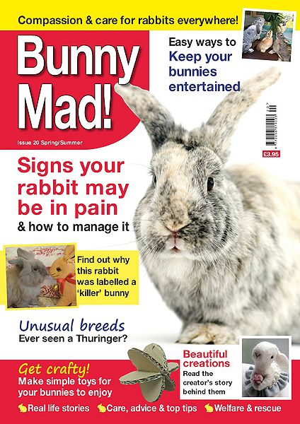 File:BunnyMadIssue20.jpg