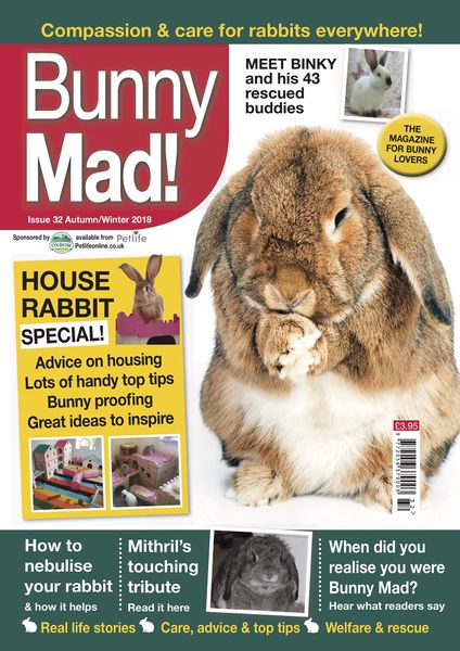 File:BunnyMadIssue32.jpg