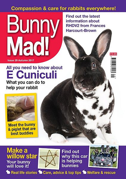 File:BunnyMadIssue29.jpg