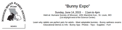 BunnyFests - WabbitWiki