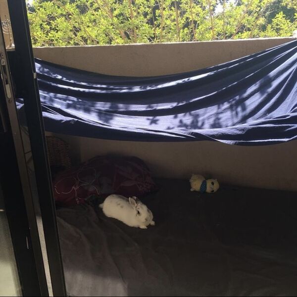 File:Balcony-protection.jpg