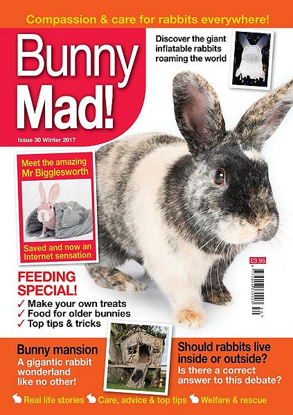 File:BunnyMadIssue30.jpg