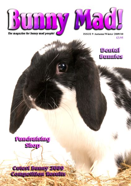 File:BunnyMadIssue09.jpg