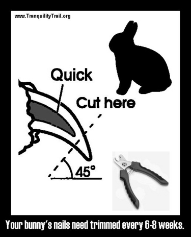 Grooming - WabbitWiki
