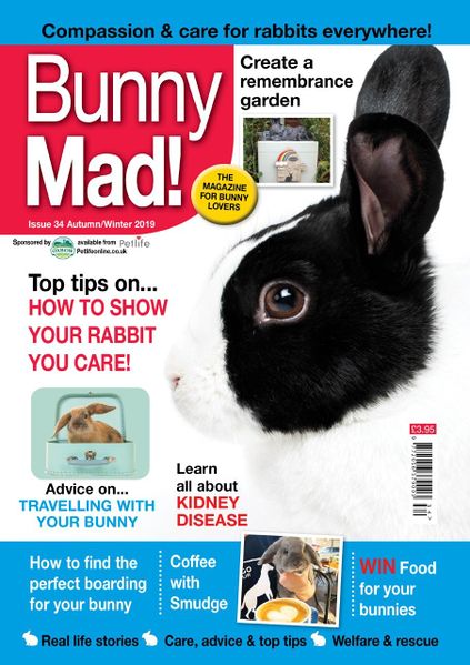 File:BunnyMadIssue34.jpg