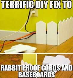Bunny-proofing - WabbitWiki