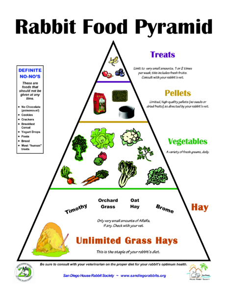 File:Rabbit Food Pyramid July08-page1.png