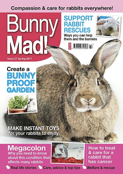 File:BunnyMadIssue27.jpg