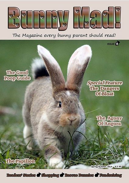 File:BunnyMadIssue18.jpg